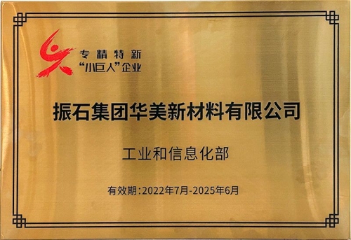 國家級專精特新”小巨人“企業(yè)