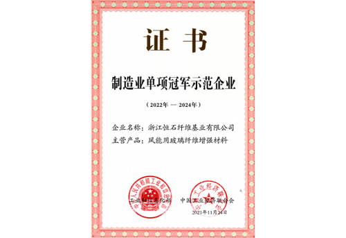 制造業(yè)單項冠軍示范企業(yè)